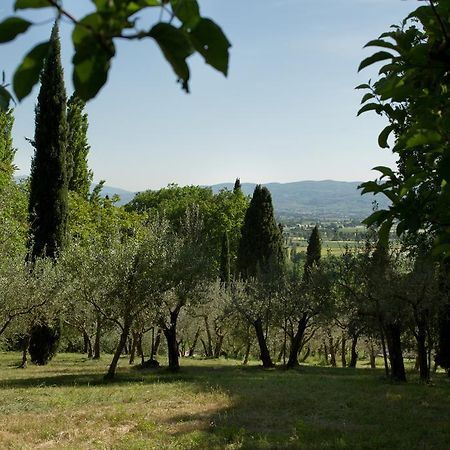 Villa Degli Ulivi Assisi Ngoại thất bức ảnh