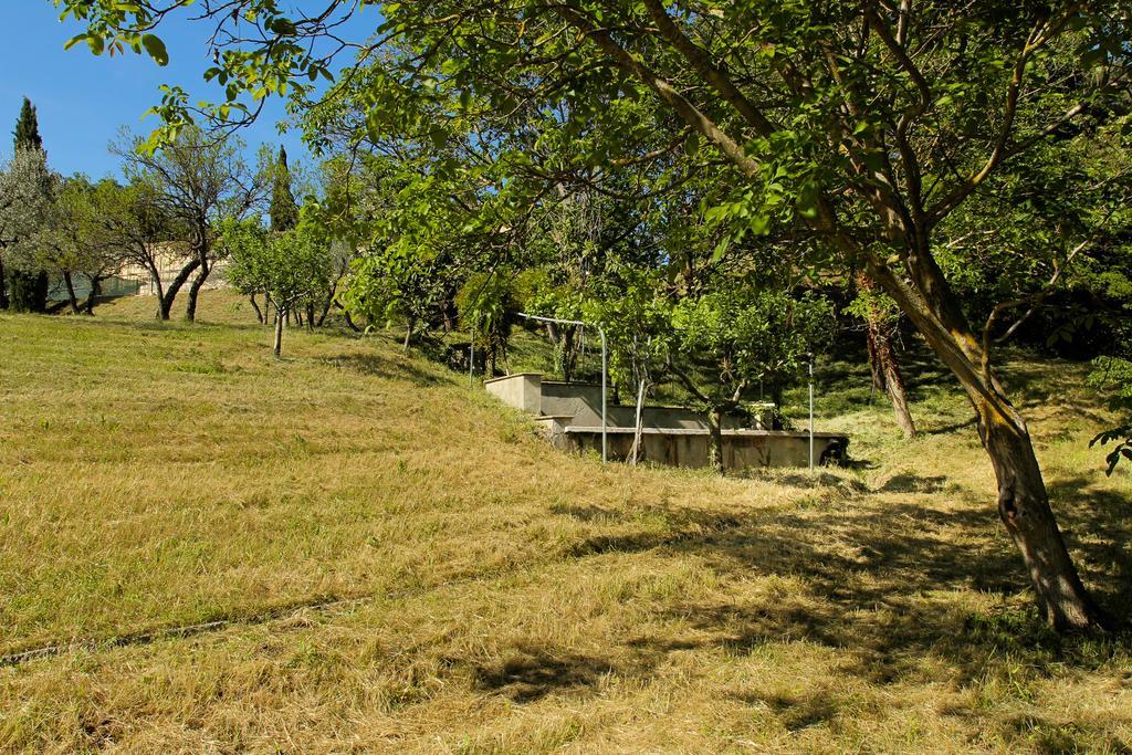 Villa Degli Ulivi Assisi Ngoại thất bức ảnh